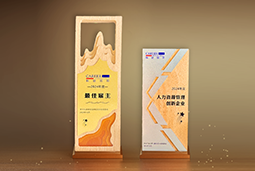 维多利亚老品牌VIC国际一举斩获“2024年度中国区最佳雇主”等多项大奖